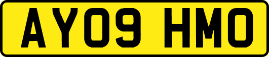 AY09HMO