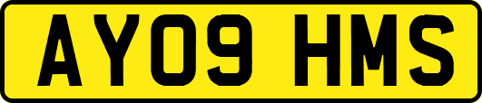 AY09HMS