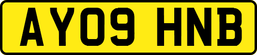 AY09HNB