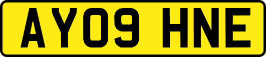 AY09HNE