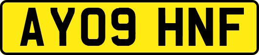 AY09HNF