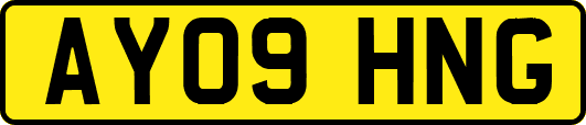 AY09HNG