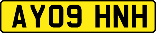 AY09HNH