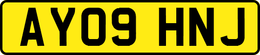 AY09HNJ