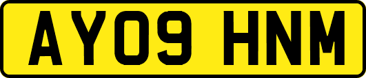AY09HNM