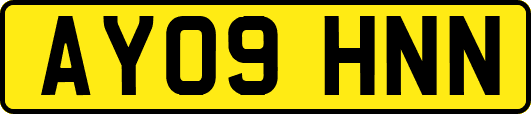 AY09HNN
