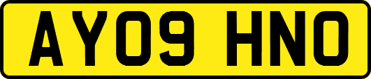 AY09HNO