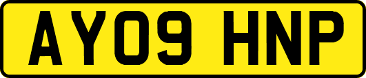 AY09HNP