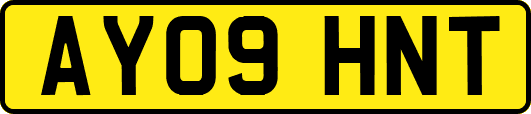 AY09HNT