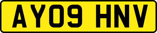 AY09HNV