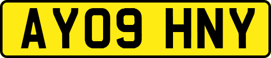 AY09HNY