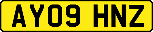 AY09HNZ
