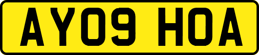 AY09HOA