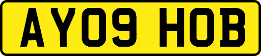 AY09HOB
