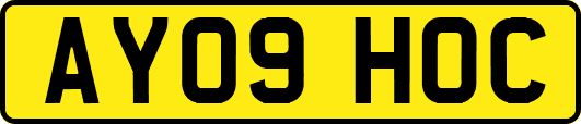 AY09HOC