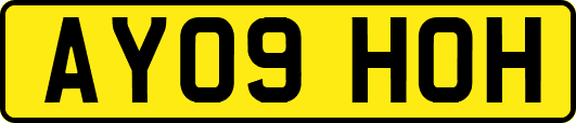 AY09HOH