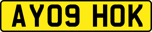AY09HOK