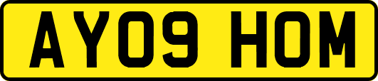 AY09HOM