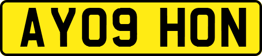 AY09HON