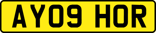 AY09HOR