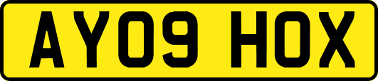 AY09HOX
