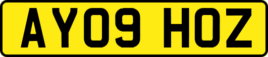 AY09HOZ