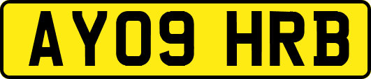 AY09HRB
