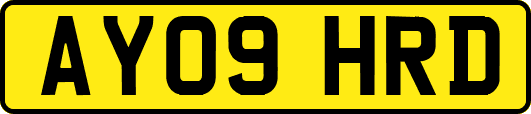 AY09HRD