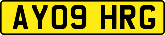 AY09HRG