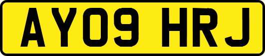 AY09HRJ