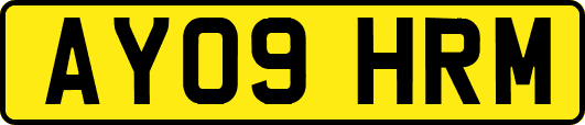 AY09HRM
