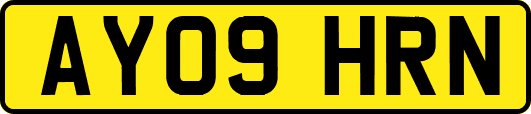 AY09HRN