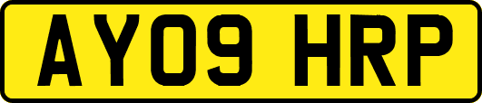AY09HRP