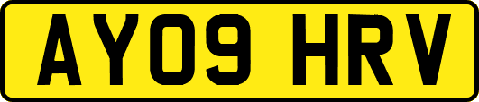 AY09HRV