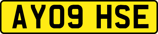 AY09HSE