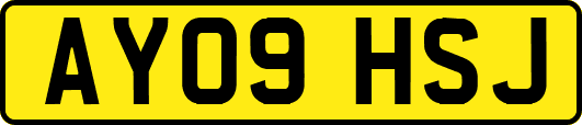 AY09HSJ