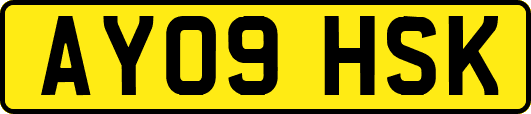 AY09HSK