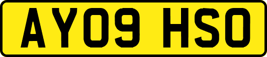AY09HSO