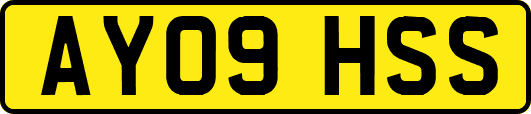AY09HSS