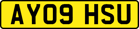 AY09HSU