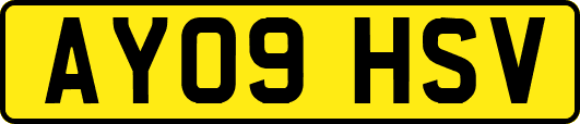 AY09HSV