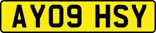 AY09HSY