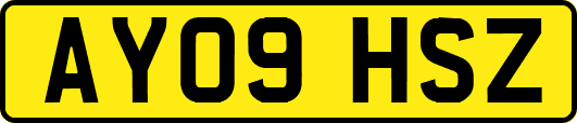 AY09HSZ