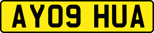 AY09HUA