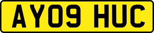 AY09HUC