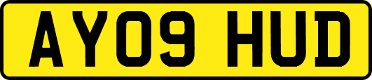 AY09HUD
