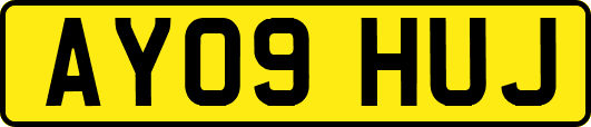 AY09HUJ