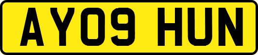 AY09HUN