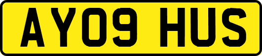 AY09HUS