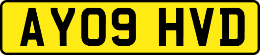 AY09HVD